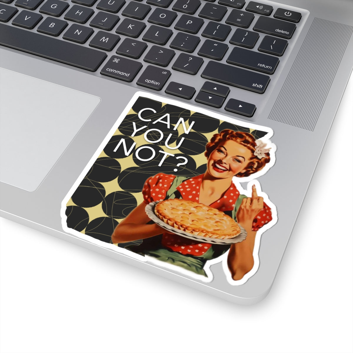 'CAN you NOT?' - Vintage Vibe Kiss-Cut Stickers