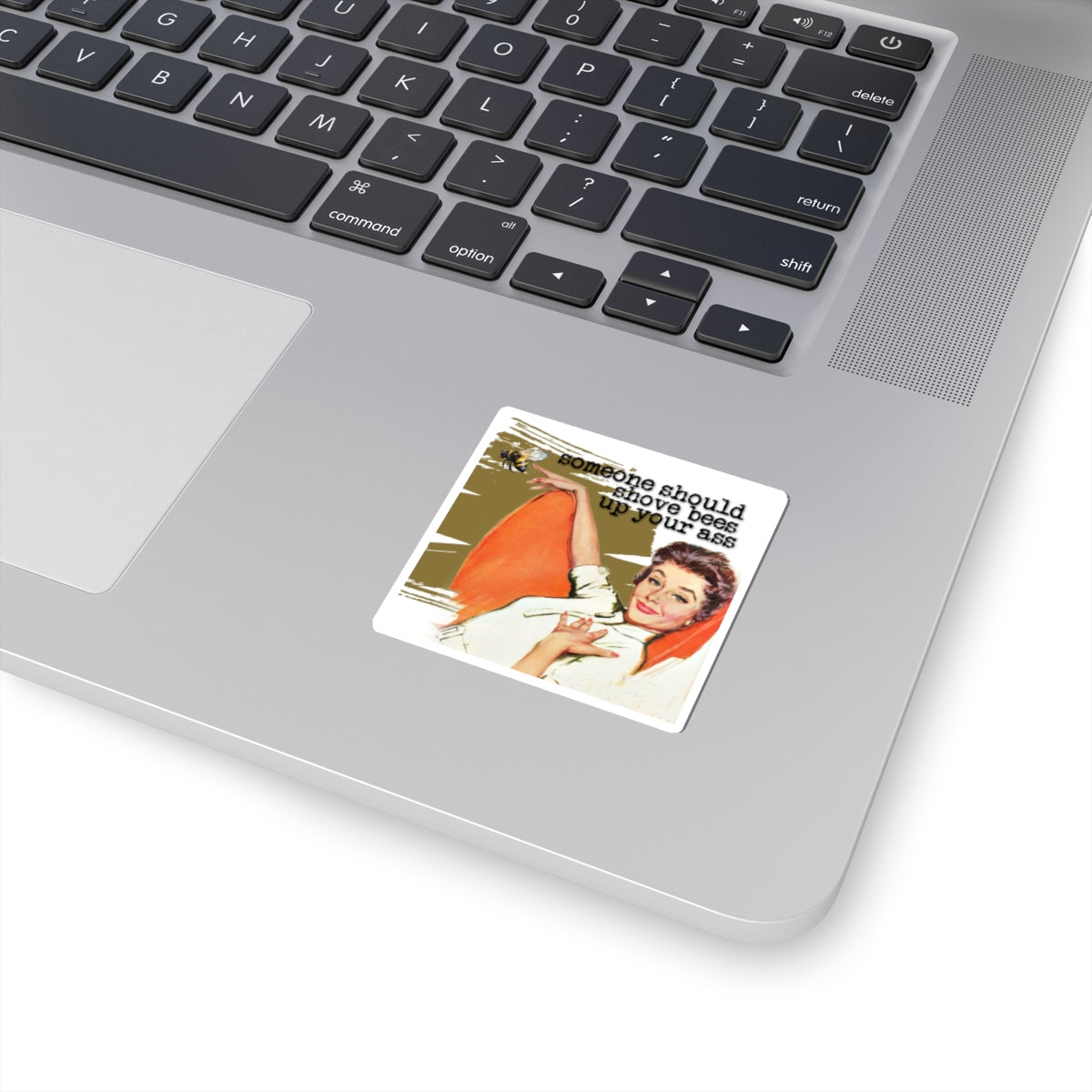 'Someone Should put Bees' - Vintage Vibe Kiss-Cut Stickers -