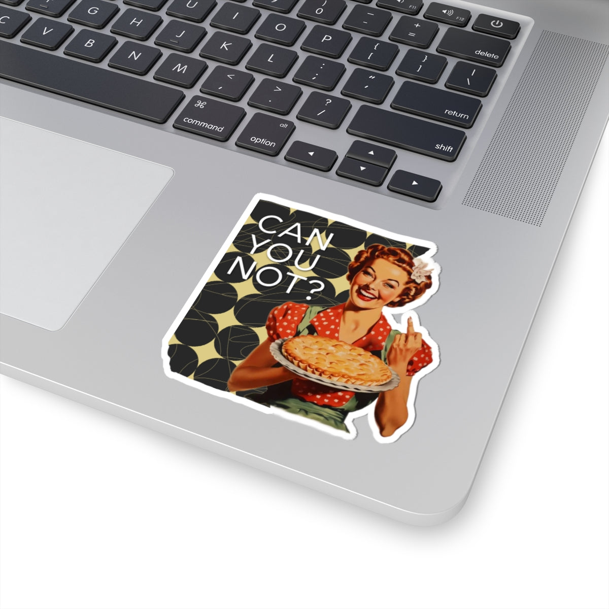 'CAN you NOT?' - Vintage Vibe Kiss-Cut Stickers