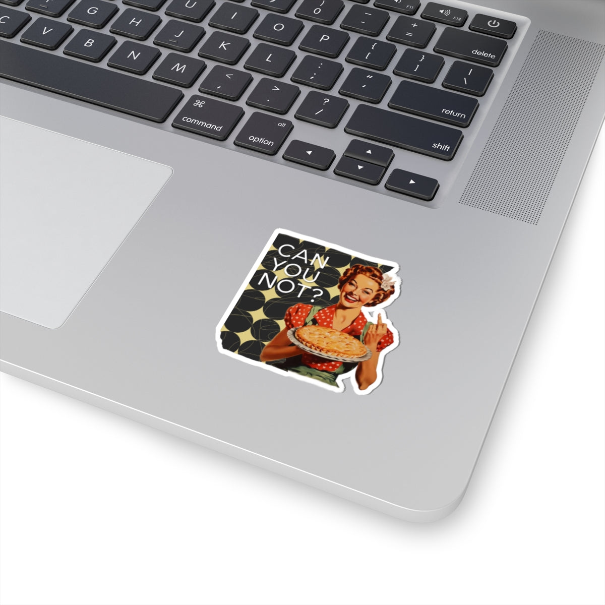 'CAN you NOT?' - Vintage Vibe Kiss-Cut Stickers