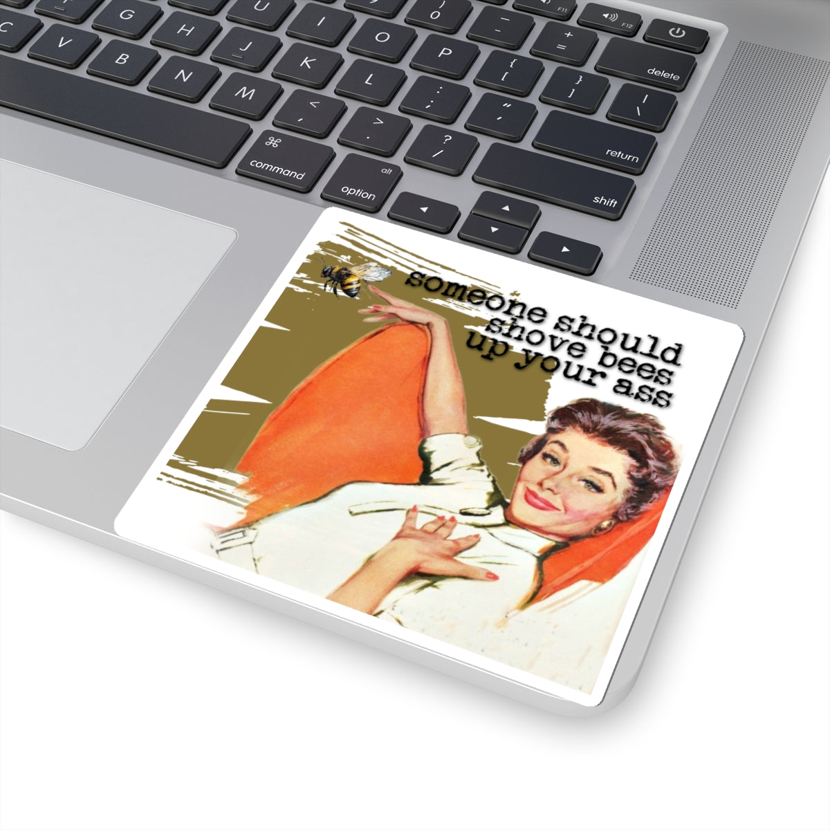 'Someone Should put Bees' - Vintage Vibe Kiss-Cut Stickers -