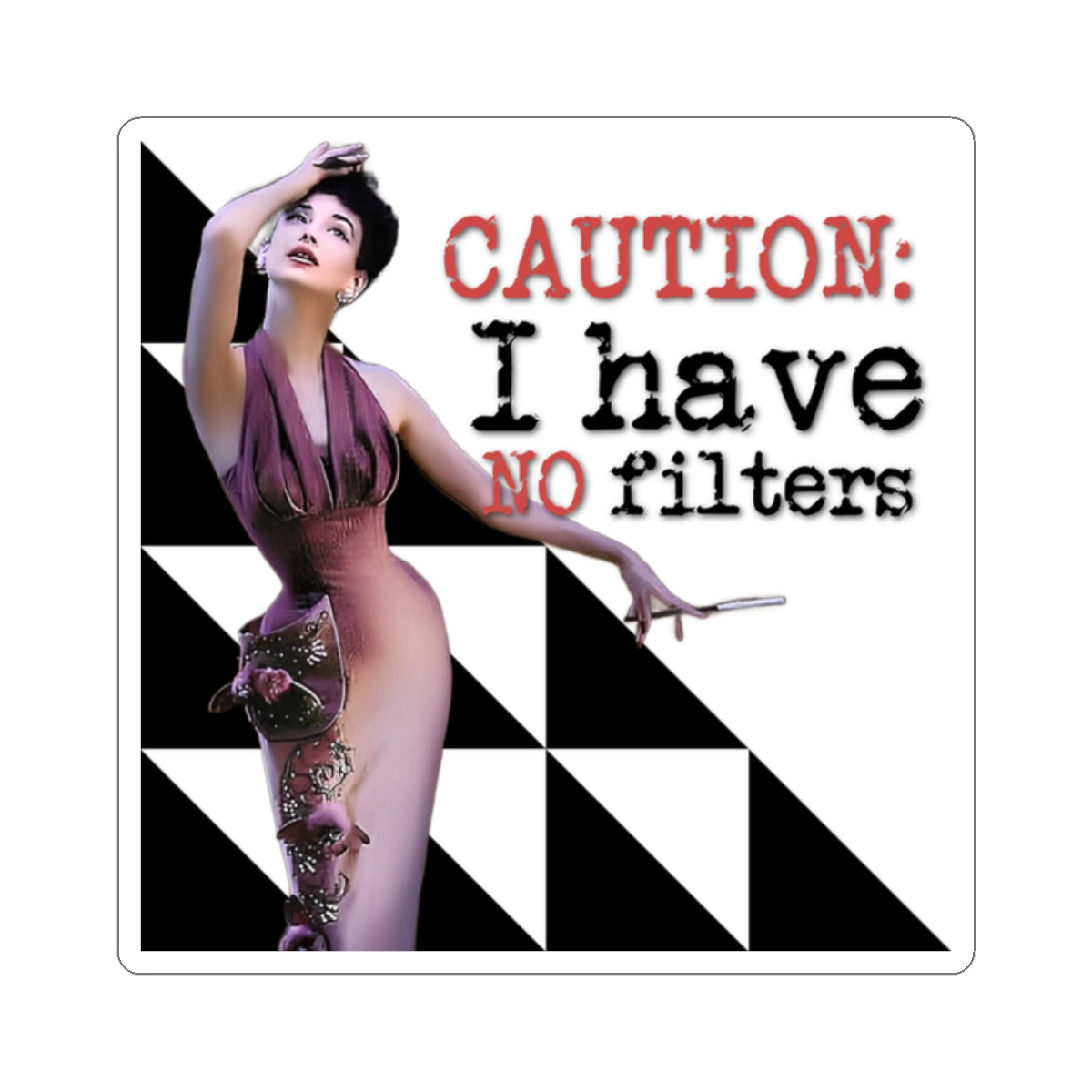 'CAUTION: I have no Filters' - Vintage Vibe Kiss-Cut Stickers