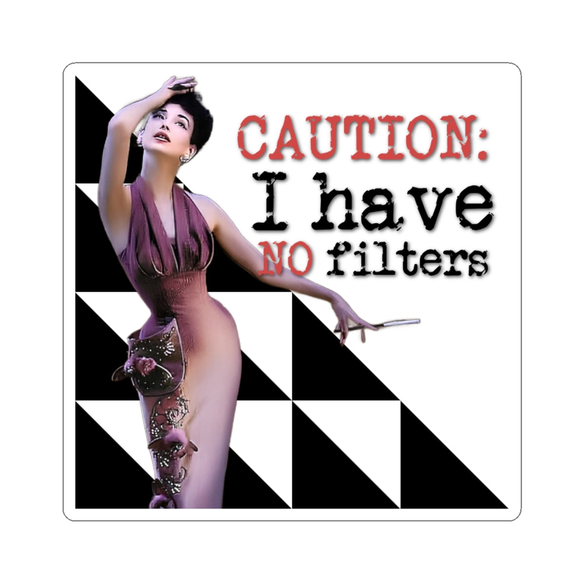 'CAUTION: I have no Filters' - Vintage Vibe Kiss-Cut Stickers