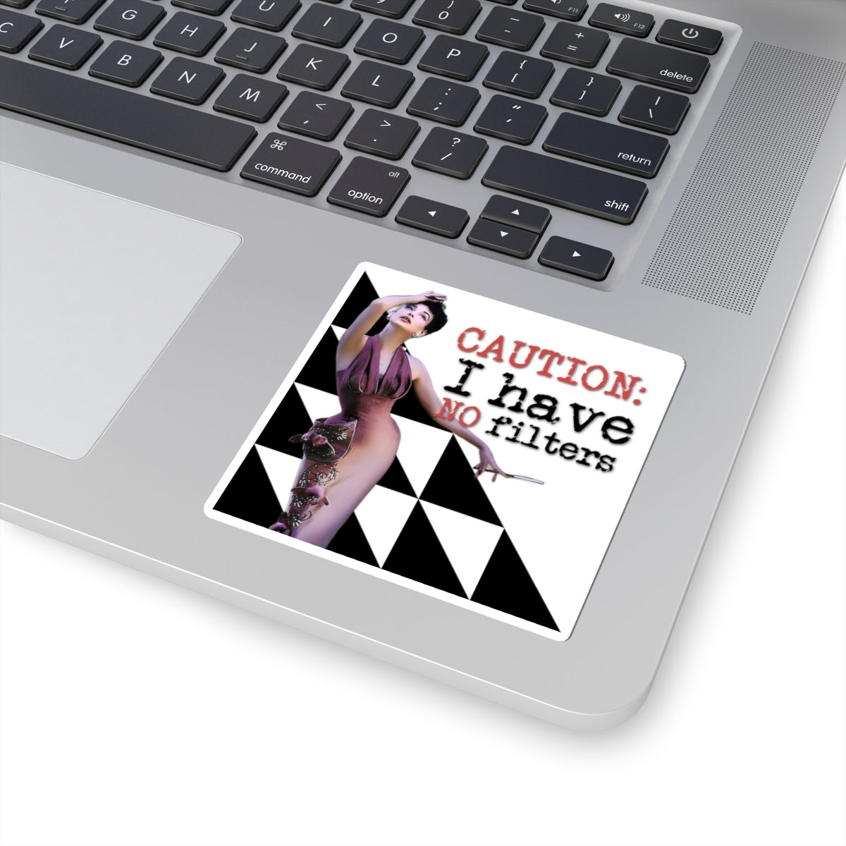'CAUTION: I have no Filters' - Vintage Vibe Kiss-Cut Stickers